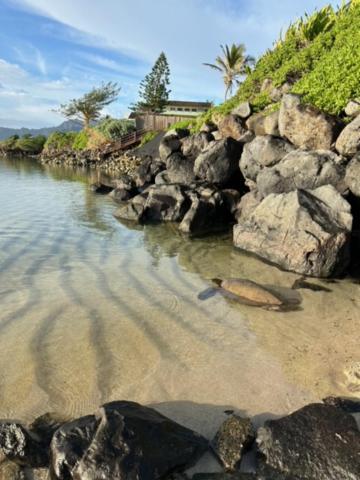 Oahu's Kept Secret Laie