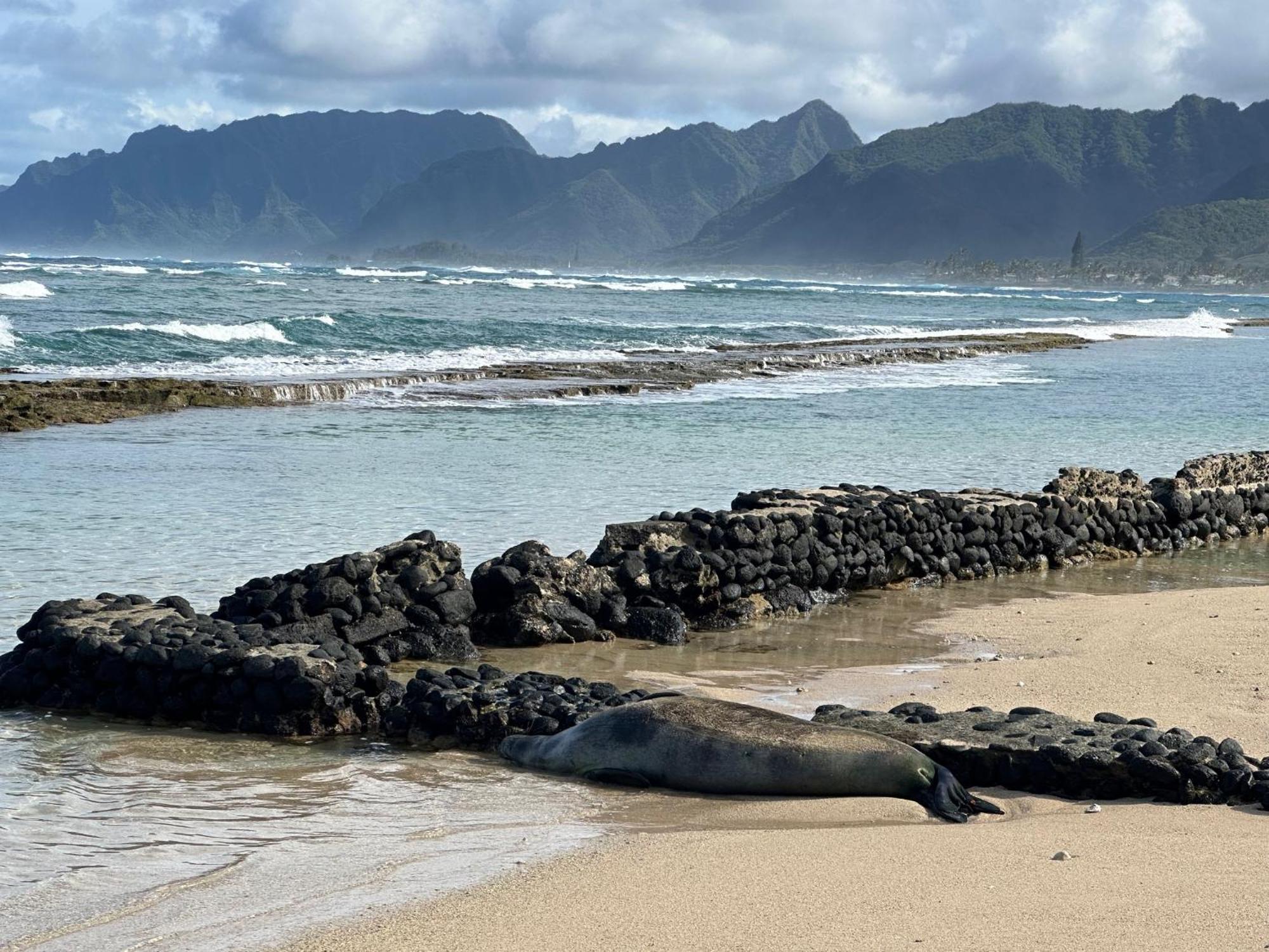 Oahu's Kept Secret Laie