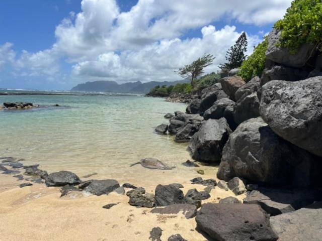 Hébergement de vacances Oahu's Kept Secret *
